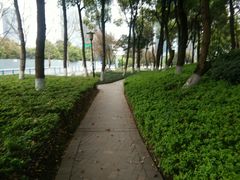 -重庆市江北嘴中央商务区中央公园