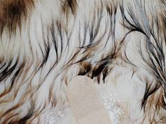-纳吉亚猫专科动物医院博雅分院