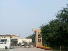 -北京鹿世界主题园
