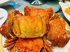 -王宝和酒家(黄浦店)