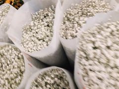 -三圣花乡旅游区