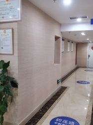 -碧莲盛·不剃发植发