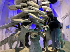 -华夏文旅海洋公园