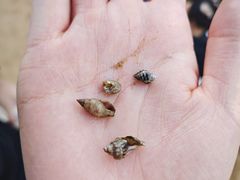 -第35届青岛国际啤酒节