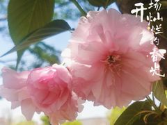 -府河摄影公园
