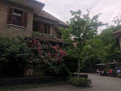 -星巴克臻选(思南公馆店)