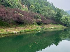 -桃花岭景区