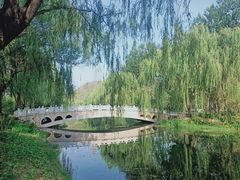 -北坞公园