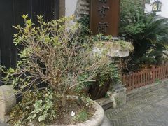 -川沙古镇-停车场