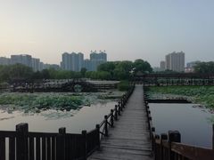 -平顶山博物馆