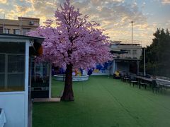 -小象钓虾·营地烧烤(洛溪店)