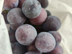 -马陆小张葡萄园农家乐