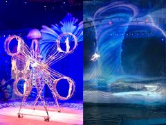 -海合安武汉极地海洋公园