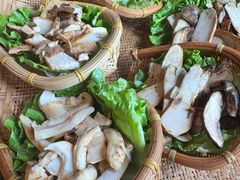 -滇野云南野生菌餐厅(陕西南路店)