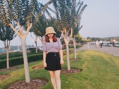 -合肥滨湖国家森林公园