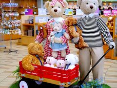 -济州岛泰迪熊博物馆