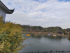 -八大山人梅湖景区