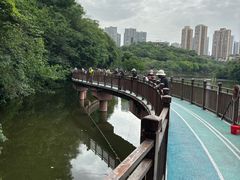 -重庆彩云湖湿地公园