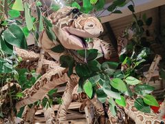 -宜家家居(四元桥商场店)