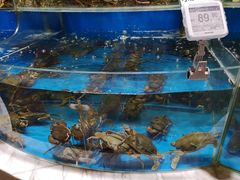 斯里兰卡青螃蟹炒青葱蒜盐-7fresh七鲜(大族广场店)