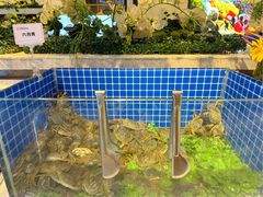 -川骄海鲜自助(河东店)
