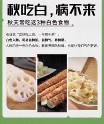 -雅曼妮spa美容养生