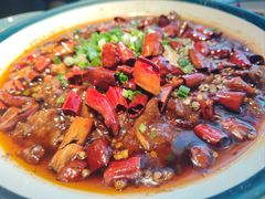 -蜀龙阁· 龍头水煮鱼(天坛店)