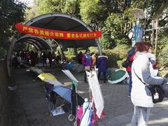 -人民公园-相亲角