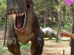 -原山国家森林公园