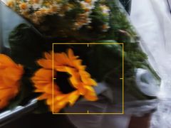 -循礼门鲜花花市(武汉循礼门店)