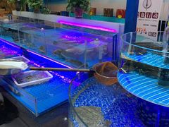 水产区-光明渔港(海悦天地店)