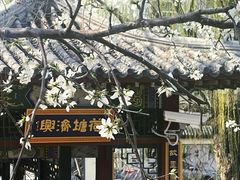 -桃花堤公园