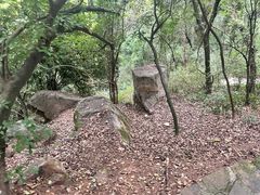 -岳麓山风景名胜区