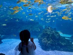 -海合安成都极地海洋公园