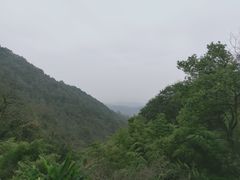-韬光茶庵