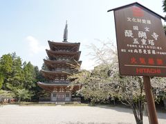 -醍醐寺