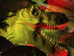 点击看大图 -恐龙探索乐园(磁器口店)