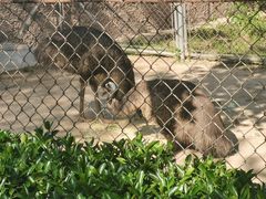 -石家庄市动物园