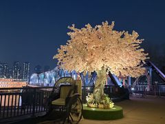 -武汉知音号