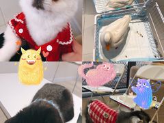 -怪兽屋·羊驼·猫咖·狗咖(俊华广场店)