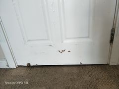 -上海棕榈滩海景酒店