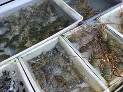 -拉威海鲜市场