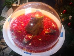 -坛宗剁椒鱼头(河西王府井店)