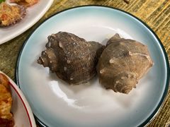 海螺-人和啤酒屋海鲜大排档(营口路店)