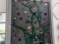 -房山世界地质公园博物馆