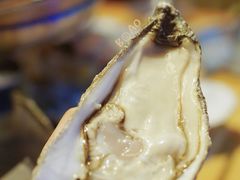 嘉文生蚝王-囧吉香生蚝牛排馆(湖北路店)