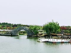 -上海鲜花港