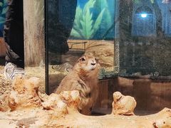-昆明大悦城未来动物城(螺蛳湾中心店)