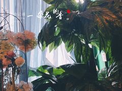 -一棵树咖啡馆(泉乐坊店)