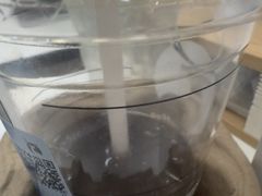 -瑞幸咖啡(中国凤凰大厦店)